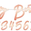 Banner rosegull - "Happy ** Birthday"