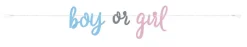Bokstavbanner - Gender Reveal