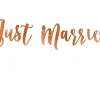 Bokstavbanner - Just Married - Rosegull