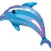 Delightful Dolphin