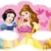 Disney Princess - Create your world