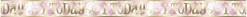 Foliebanner - Første Bursdag