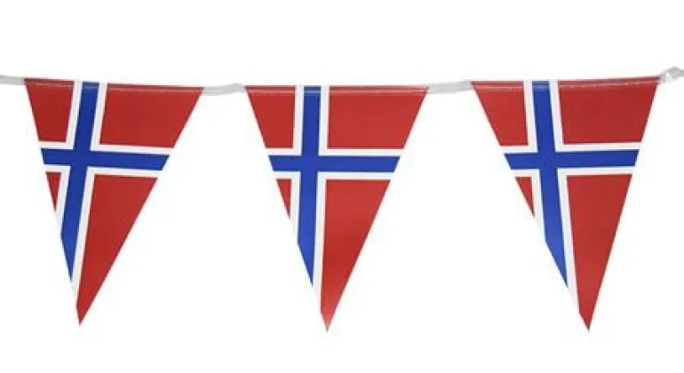 Norsk Flagg - Flaggbanner