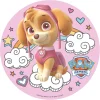 Paw Patrol - Skye