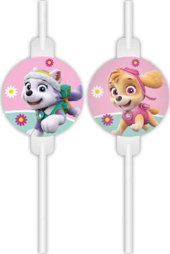 Paw Patrol - Skye And Everest
