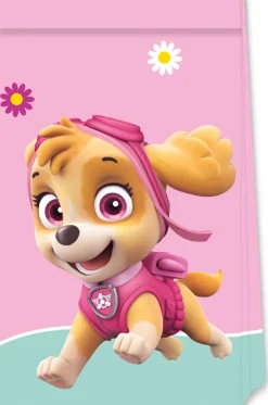 Paw Patrol - Skye And Everest