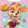 Paw Patrol - Skye And Everest