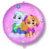 Paw Patrol - Skye And Everest