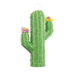 Pinata - Kaktus