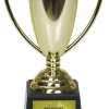 Pokal - "Mesternes mester"