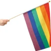 Rainbow håndflagg - Medium