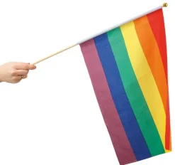 Rainbow håndflagg - Medium