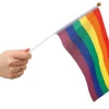 Rainbow håndflagg - Small