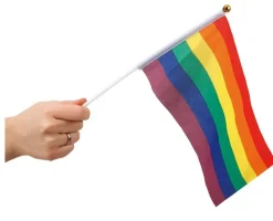 Rainbow håndflagg - Small