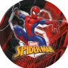 Spiderman - World of Webs