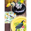 Toucan
