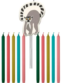 Zoo Party